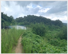  2024Ÿ2410  ֽ ʸ ǰ 78      (1)