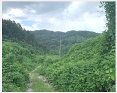  2024Ÿ2410  ֽ ʸ ǰ 78      (1)