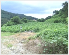  2024Ÿ2410  ֽ ʸ ǰ 78      (1)