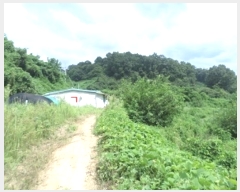  2024Ÿ2410  ֽ ʸ ǰ 78      (1)