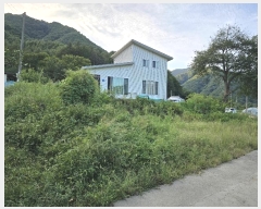  2024Ÿ2632  Ⱦ ûϸ Ŵ븮 219-1      ð