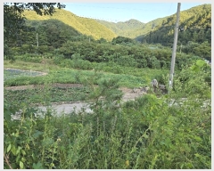  2024Ÿ2632  Ⱦ ûϸ Ŵ븮 219-1      ð