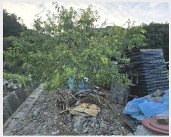  2024Ÿ2632  Ⱦ ûϸ Ŵ븮 219-1      ð