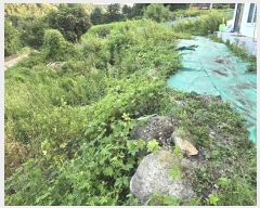  2024Ÿ2632  Ⱦ ûϸ Ŵ븮 219-1      ð