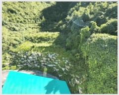  2024Ÿ2809  ֽ Ǻθ ݴ븮 266-2      ڽü,,ȣ,