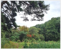  2024Ÿ��2830  ����