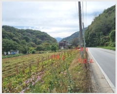  2024Ÿ��2830 ���� ���ֽ� ������ ��θ� 368-2      ����(��1)���