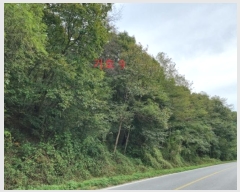  2024Ÿ��2830 ���� ���ֽ� ������ ��θ� 368-2      ����(��1)���