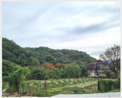  2024Ÿ��2830 ���� ���ֽ� ������ ��θ� 368-2      ����(��1)���