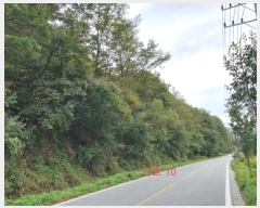  2024Ÿ��2830 ���� ���ֽ� ������ ��θ� 368-2      ����(��1)���