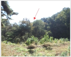  2024Ÿ��2830 ���� ���ֽ� ������ ��θ� 368-2      ����(��1)���