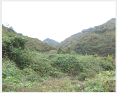  2024Ÿ3000  Ⱦ õ  234      (1)