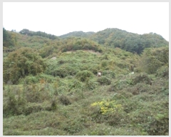  2024Ÿ3000  Ⱦ õ  234      (1)