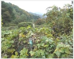  2024Ÿ3000  Ⱦ õ  234      (1)