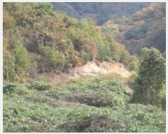  2024Ÿ3000  Ⱦ õ  234      (1)