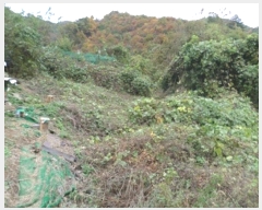  2024Ÿ3000  Ⱦ õ  234      (1)