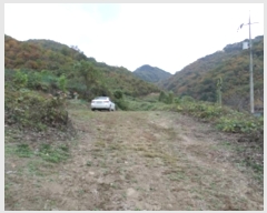  2024Ÿ3000  Ⱦ õ  234      (1)