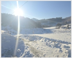  2024Ÿ��3284  ����