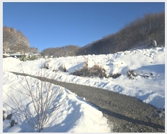  2024Ÿ��3284  ����