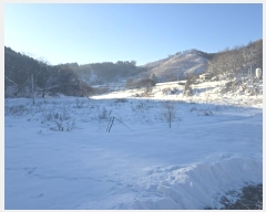  2024Ÿ��3284  ����