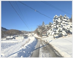  2024Ÿ��3284  ����