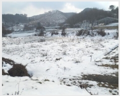  2024Ÿ��3284  ����