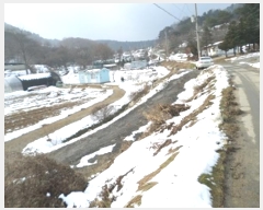  2024Ÿ��3284  ����