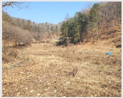  2024Ÿ��3369  �����