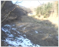  2024Ÿ��3369  �����