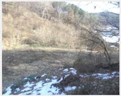  2024Ÿ��3369  �����