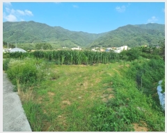  2024Ÿ403402  ֽ ౸ 615-4       ()