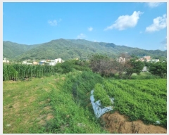  2024Ÿ403402  ֽ ౸ 615-4       ()