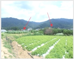  2024Ÿ403402  ֽ ౸ 615-4       ()