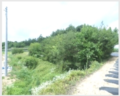  2024Ÿ403402  ֽ ౸ 615-4       ()