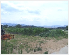  2024Ÿ403402  ֽ ౸ 615-4       ()