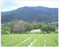  2024Ÿ403402  ֽ ౸ 615-4       ()