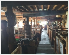  2024Ÿ��404672  �����