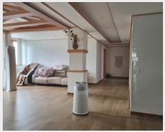  2024Ÿ��404672  �ٸ��ü����