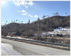  2024Ÿ��405392 ���� Ⱦ���� ��õ�� �ϴ븮 38      ����(��1)���