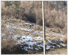  2024Ÿ��405392 ���� Ⱦ���� ��õ�� �ϴ븮 38      ����(��1)���