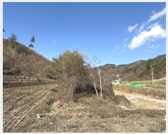  2024Ÿ��405392 ���� Ⱦ���� ��õ�� �ϴ븮 38      ����(��1)���