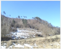  2024Ÿ��405392 ���� Ⱦ���� ��õ�� �ϴ븮 38      ����(��1)���