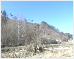  2024Ÿ��405392 ���� Ⱦ���� ��õ�� �ϴ븮 38      ����(��1)���