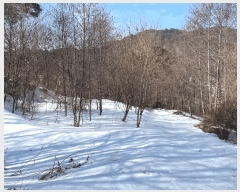  2024Ÿ405446  Ⱦ г 𱳸 1475-10      (Ӿ)