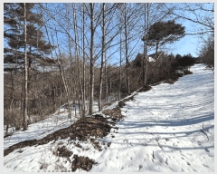  2024Ÿ405446  Ⱦ г 𱳸 1475-10      (Ӿ)