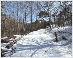  2024Ÿ405446  Ⱦ г 𱳸 1475-10      (Ӿ)