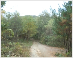  2024Ÿ405446  Ⱦ г 𱳸 1475-10      (Ӿ)