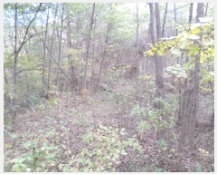  2024Ÿ405446  Ⱦ г 𱳸 1475-10      (Ӿ)