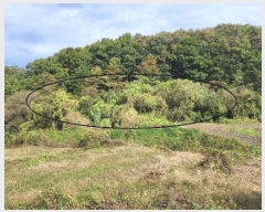  2024Ÿ405736  ֽ ηи õ 1198      ()