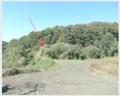  2024Ÿ405736  ֽ ηи õ 1198      ()